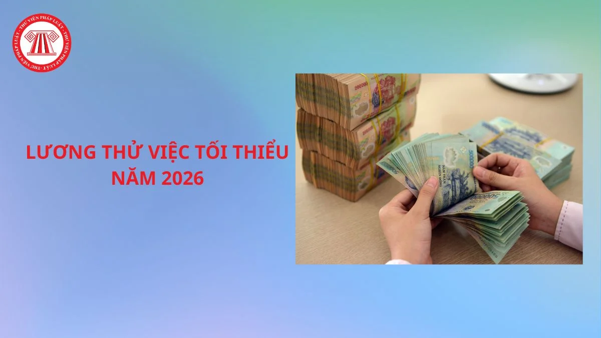 luong thu viec toi thieu nam 2026 la bao nhieu
