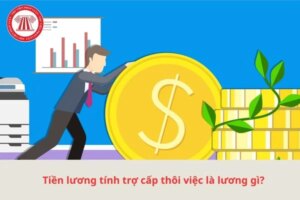 luong tinh tro cap thoi viec