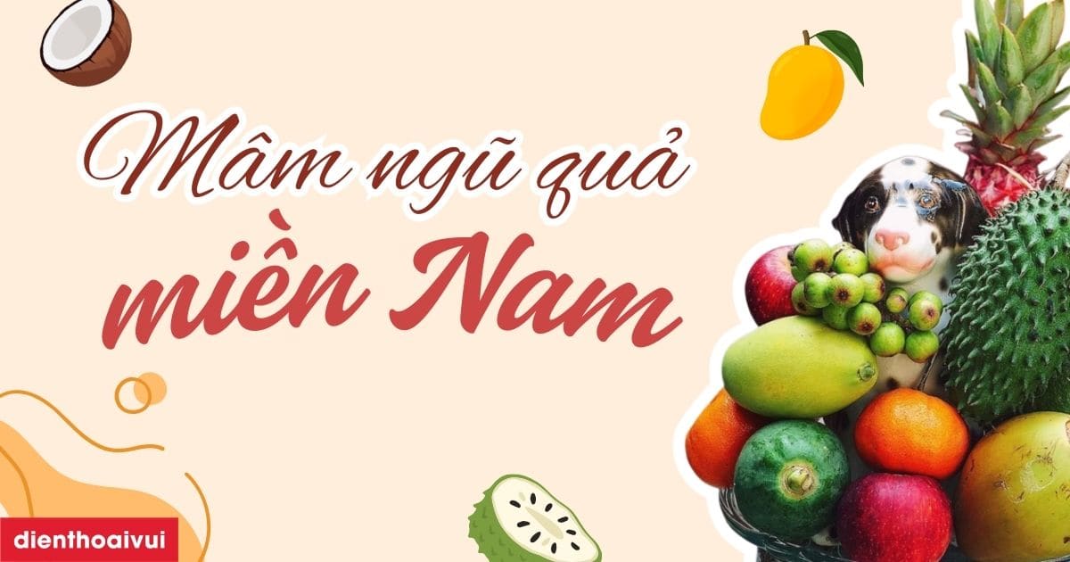 Mam Ngu Qua Mien Nam 2026 Meta Thumbnail