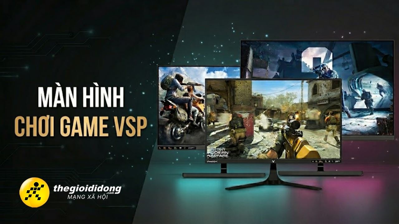 man hinh vsp h22639140483501238428