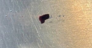 manh kim loai 1773819226264204622720 0 0 369 590 crop 1773819433661871645993