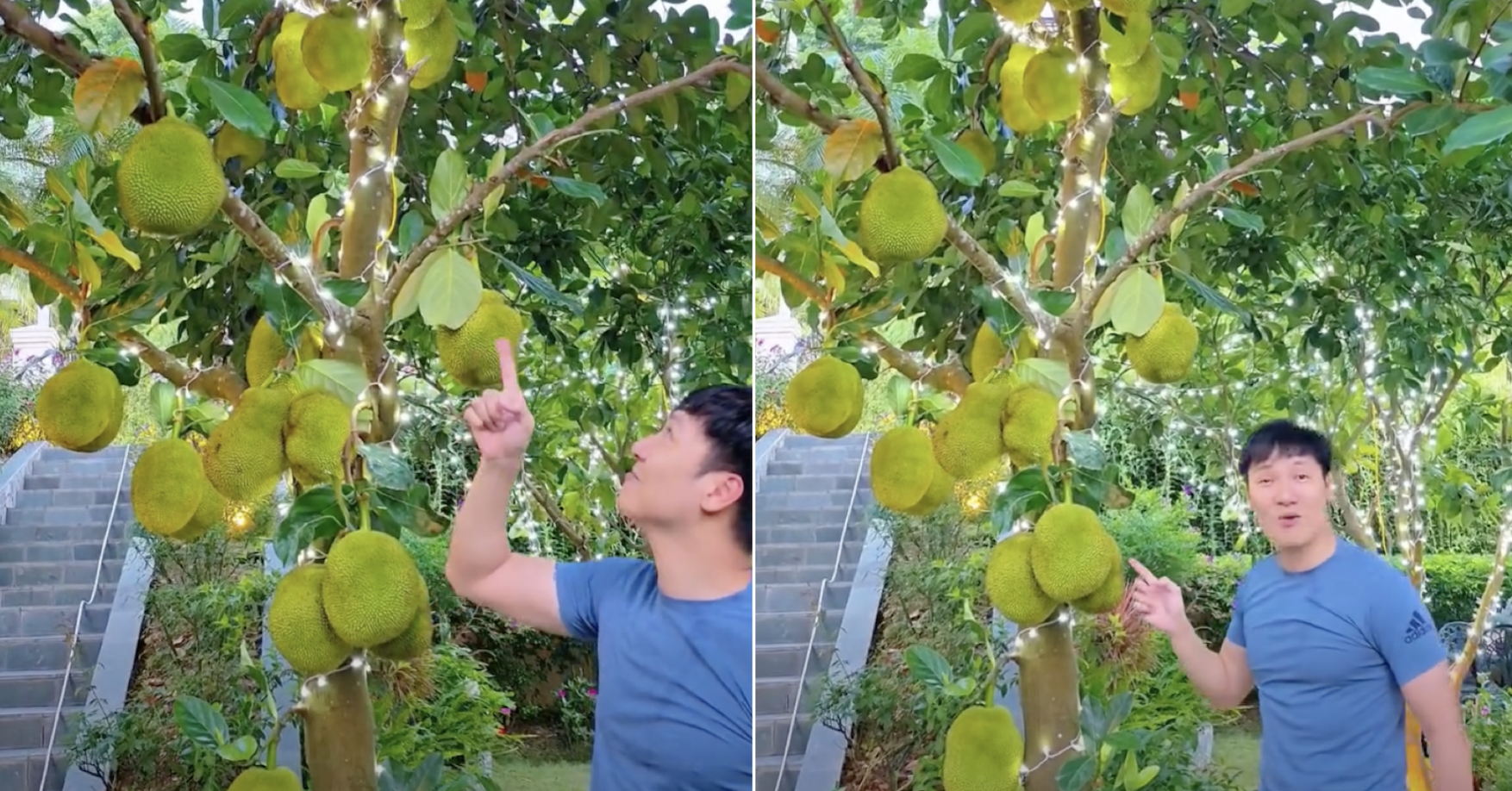 manh truong khoe cay mit triu qua trong biet thu nha vuon con trai jennifer pham cao vuot me 3046.pn