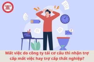 mat viec do tai co cau