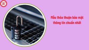 mau thoa thuan bao mat thong tin