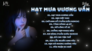 Nonstop Chuẩn Melody Đạp Đổ Trending TikTok 2026🎼Hạt Mưa Vương Vấn (TUẤN SIÊU REMIX) Hot TikTok 2026 16 maxresdefault 1420