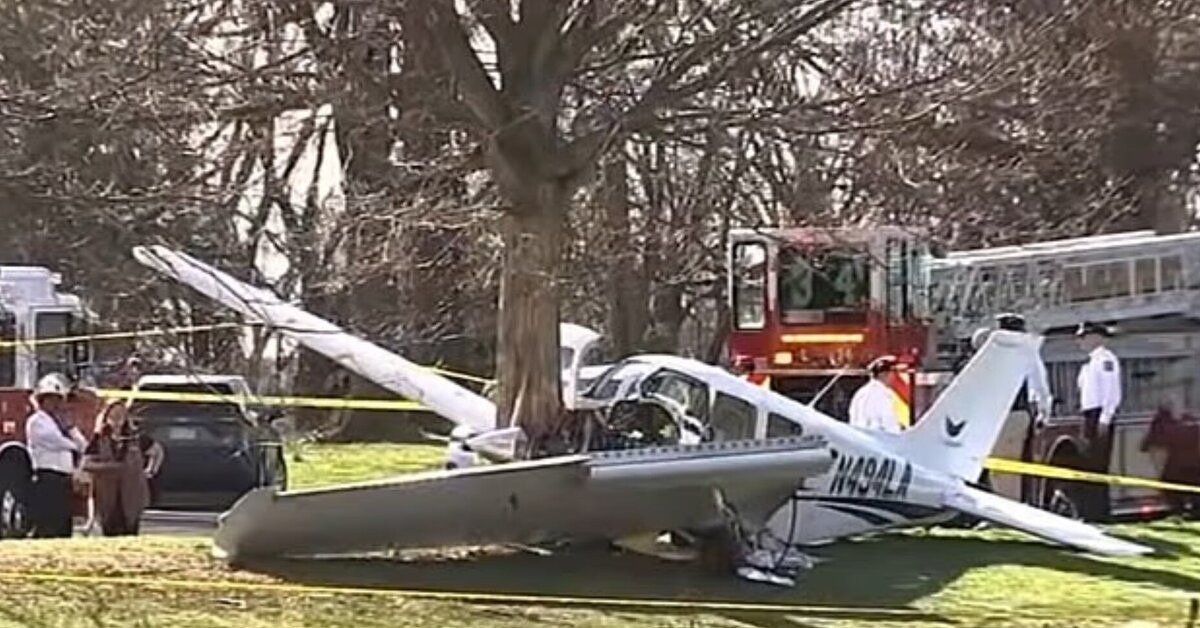 may bay dam vao cay trong cong vien 2 nguoi song sot than ky 970