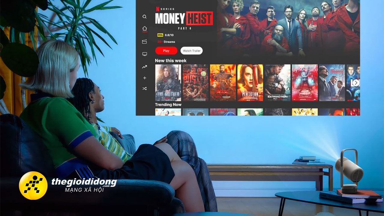 may chieu 2639124511854816932