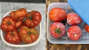 meo bao quan ca chua de ca nam van tuoi ngon nhu moi 225320