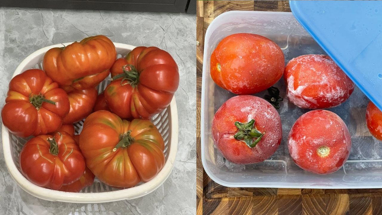 meo bao quan ca chua de ca nam van tuoi ngon nhu moi 225320