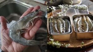 meo bao quan tom bang duong de ca thang van tuoi ngon chac thit 172033