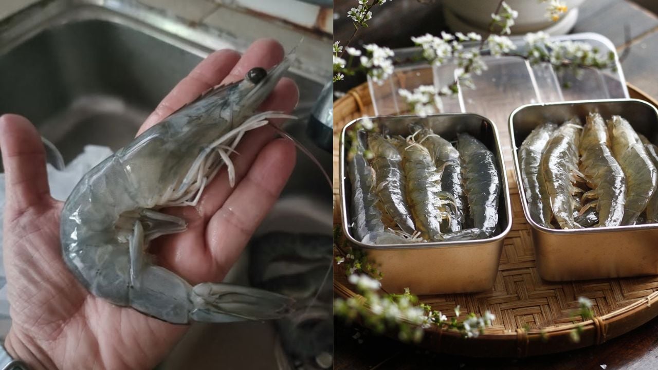 meo bao quan tom bang duong de ca thang van tuoi ngon chac thit 172033