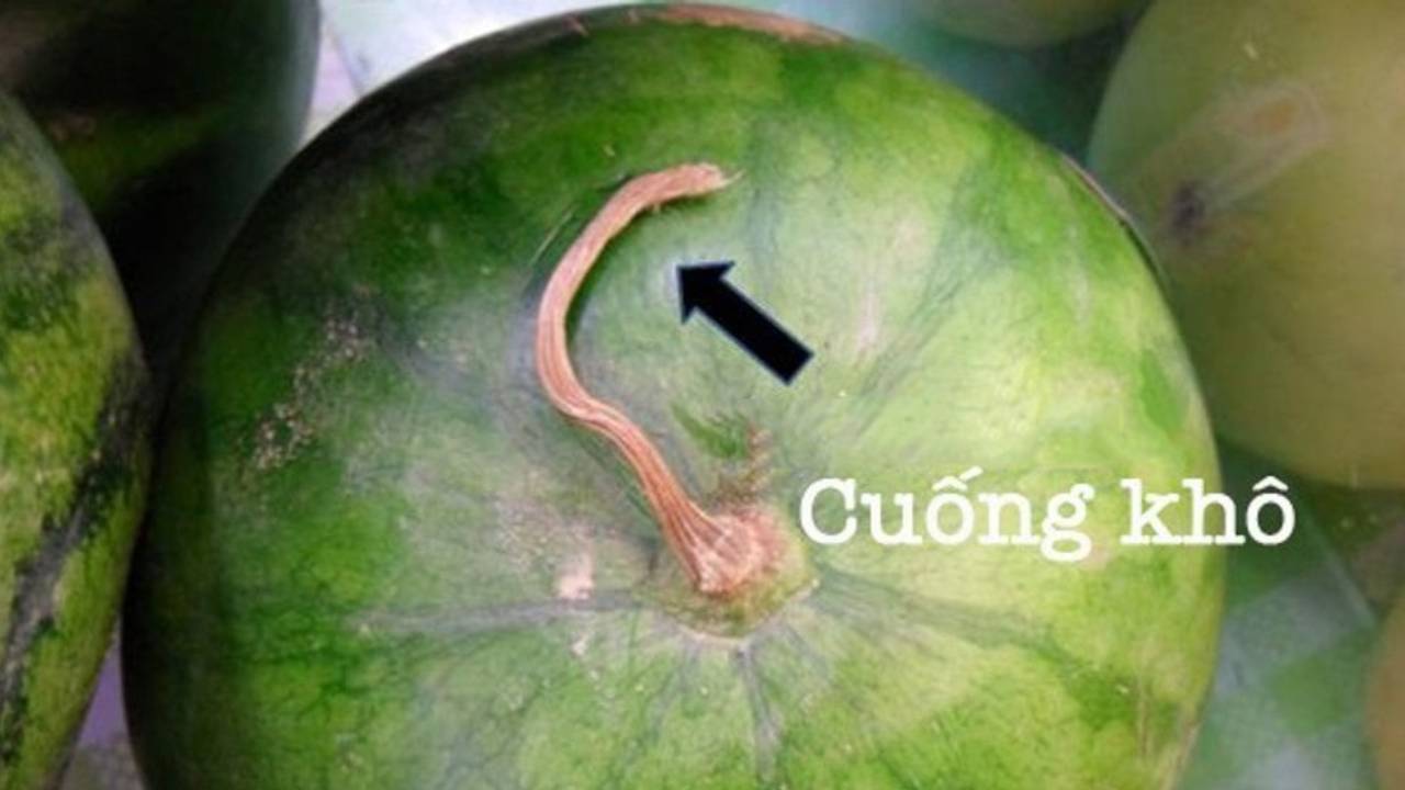 meo chon hoa qua ngay he an toan 10 loai qua ngon ngot tuoi sach 113050