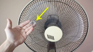 meo lam sach quat dien khong can thao khung chi 5 phut la sach bong nhu moi 220547