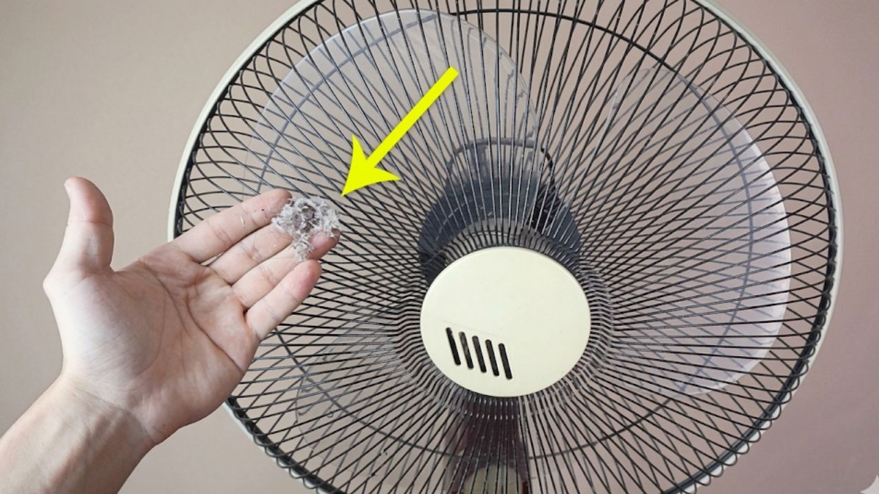 meo lam sach quat dien khong can thao khung chi 5 phut la sach bong nhu moi 220547