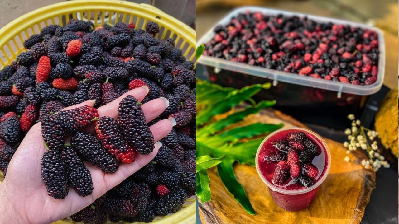 meo ngam dau tam de lau khong moc hong len men 180913