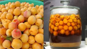 meo ngam mo duong bang noi com dien cang de lau cang ngon khong bi noi vang 233006