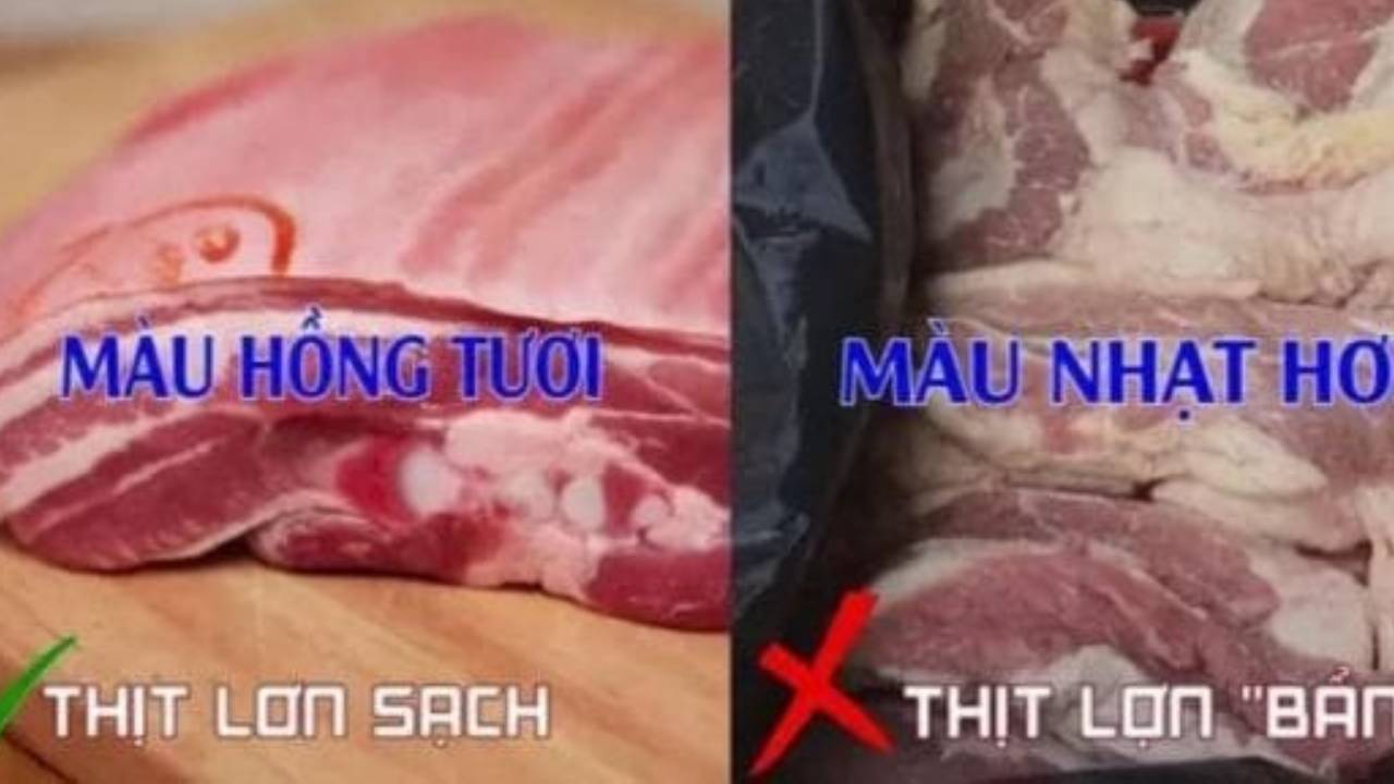 Meo Nhan Biet Thit Lon Tang Trong Nguoi Di Cho Nhieu Kinh Nghiem Thuong Tranh Mua 165404