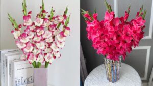 Meo Tuot La Ngat Dot Giup Hoa Lay On Hoa Don No Deu Tam Tap Het Tet Van Tuoi Roi 235819