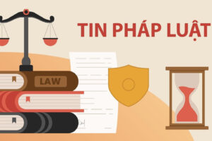 minh hoa phap luat 994