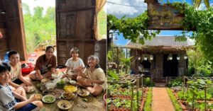 Mong Con Co Tuoi Tho Ong Bo Mua 1 1558