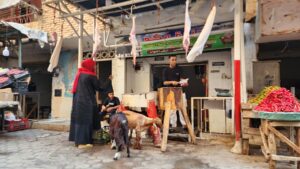 mot cua hang ban thit de tai thu do cairo ai cap 20260526051722
