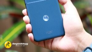 moto lkm1639123850344285471