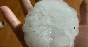 mua da to nhu nam tay trut am am xuong bac ha 586