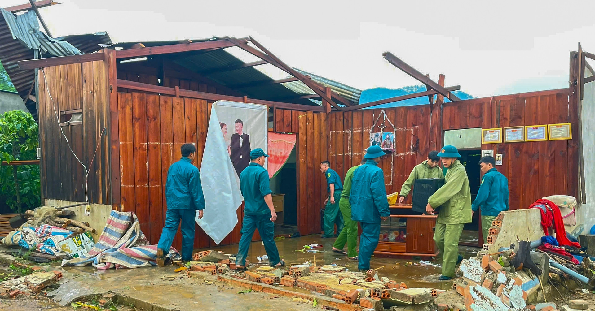 mua giong gay sap toc mai nhieu nha dan o lam dong 2922