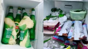 mua he tuyet doi khong de 3 thu nay vao ngan da tu lanh 232920