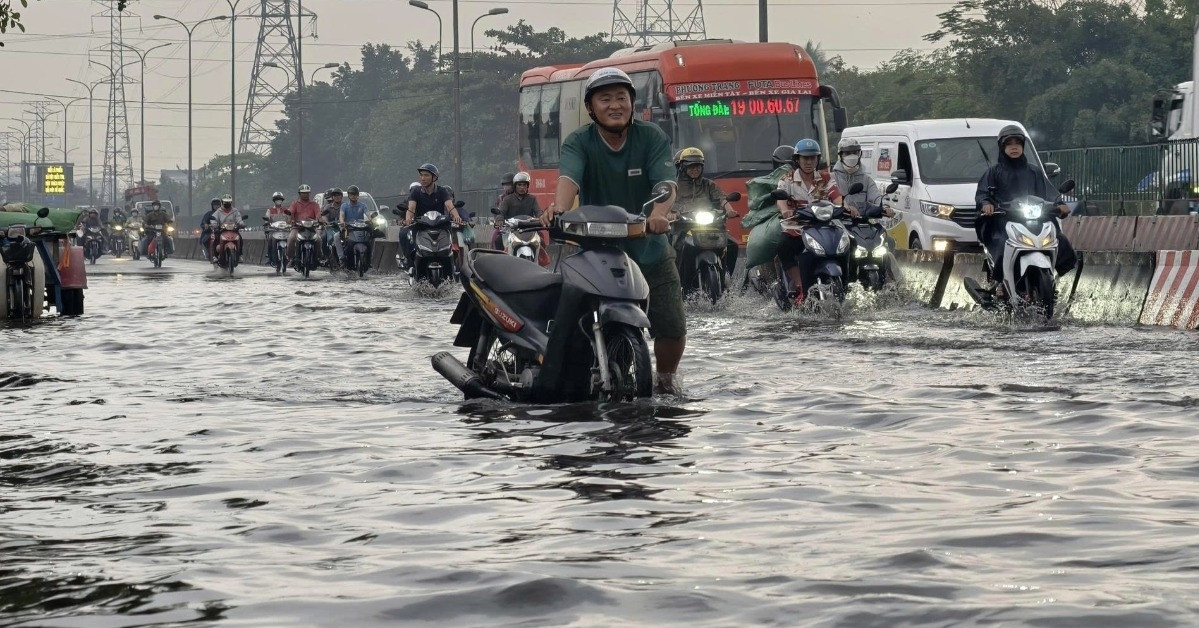 Mua Trai Mua Nhan Chim Cua Ngo Tphcm Nguoi Dan Bi Bom Vuot Nuoc Den Ve Nha 1946