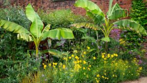 Năm Bính Ngọ 2026, Tránh Trồng 3 Loại Cây Này Trước Cửa Nhà Nam Binh Ngo 2026 Tranh Trong 3 Loai Cay Nay Truoc Cua Nha 233259