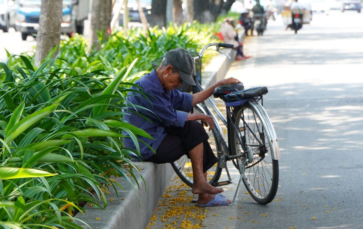 nang nong gay gat nhung nguoi lon tuoi tim cho duoi goc cay de tranh nang