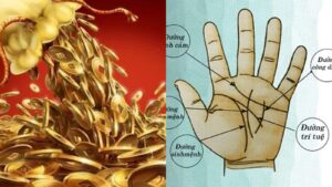 Neu Long Ban Tay Xuat Hien Duong Van Nho Nay La Dau Hieu Phat Tai Hau Van Sung Tuc 103126