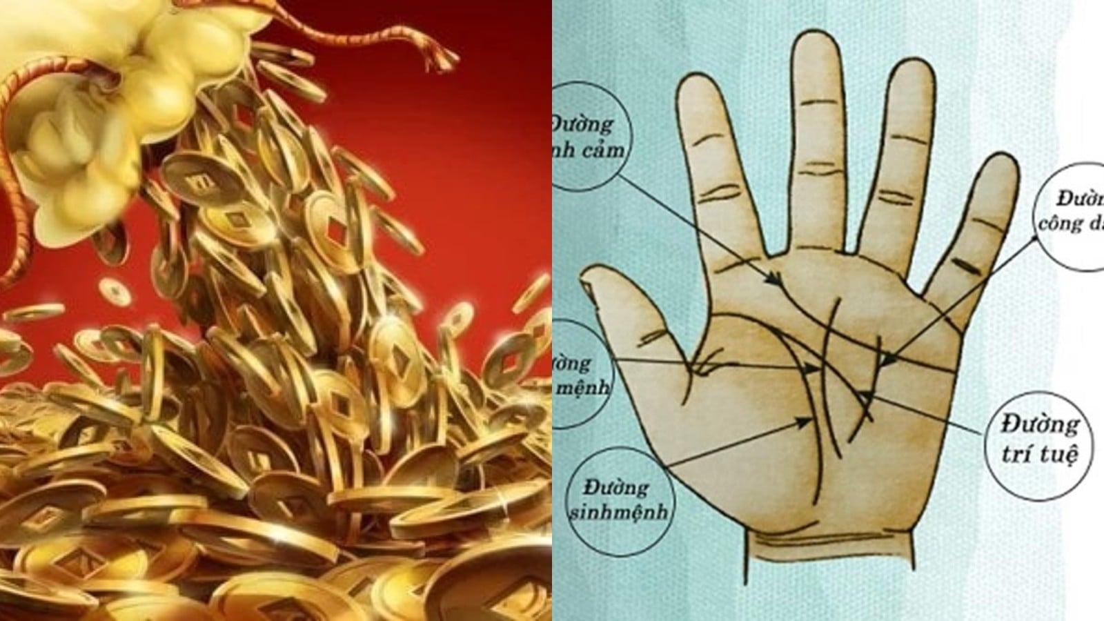 Neu Long Ban Tay Xuat Hien Duong Van Nho Nay La Dau Hieu Phat Tai Hau Van Sung Tuc 103126