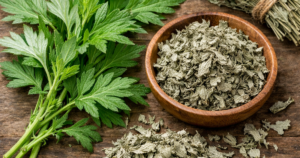 Ngai Cuu 17684807371241355299250 34 0 657 997 Crop 17684807995991745002942