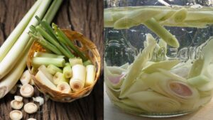 Ngâm sả với giấm, thu được loại nước đặc biệt, nhà nào cũng cần 1 ngam sa voi giam thu duoc loai nuoc dac biet nha nao cung can 222632