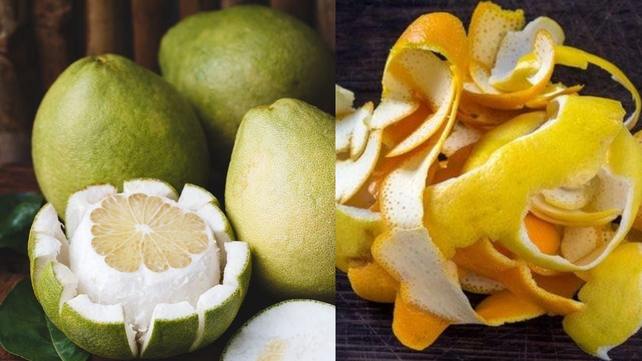 Ngam Vo Buoi Cam Quyt Voi Giam Bi Quyet Tao Ra Hon Hop Thien Nhien Giau Cong Dung Bat Ngo 211335