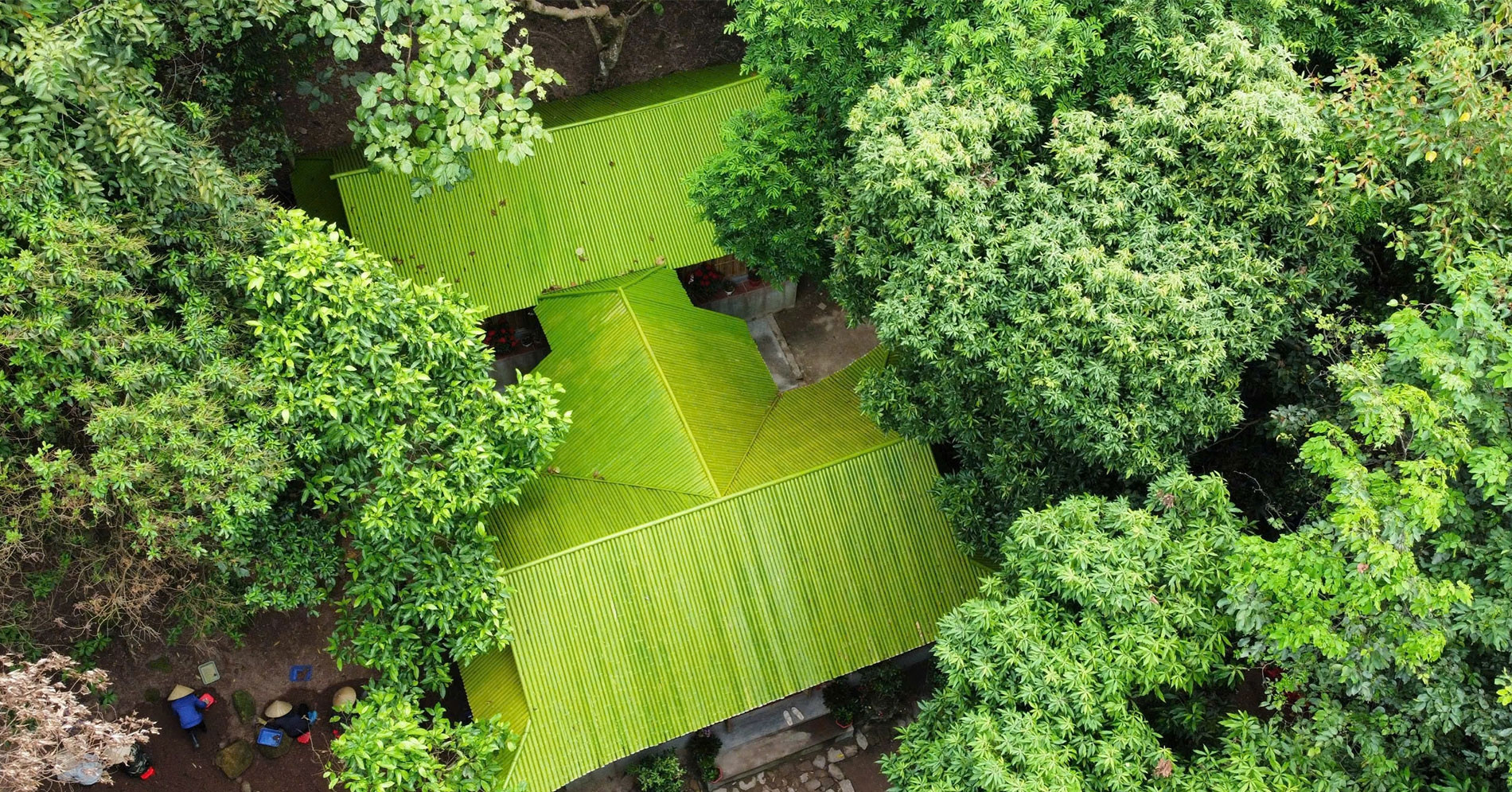 ngoi chua doc dao lam bang truc co cay hoa trung ga ai cung muon ngam 1821