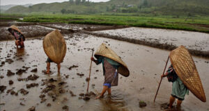 ngoi lang nhieu mua nhat the gioi dan phu co mai nha de giam tieng on 2147