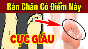 nguoi co tuong ban chan nay ca doi di tren nhung lua do la ban chan nao 113348