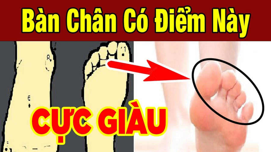 nguoi co tuong ban chan nay ca doi di tren nhung lua do la ban chan nao 113348