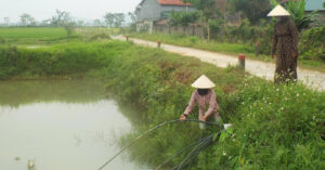 Người dân dùng nước ao hồ để sinh hoạt giữa nắng nóng gay gắt 1 nguoi dan dung nuoc ao ho de sinh hoat giua nang nong gay gat 2913