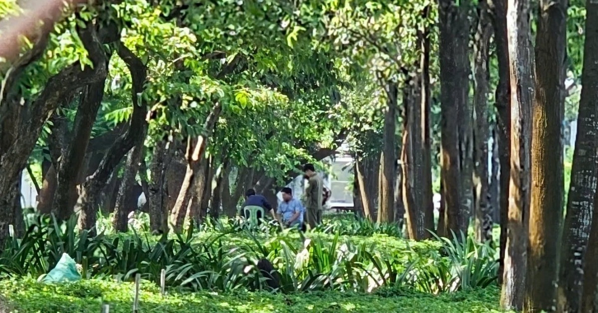 nguoi dan ong tu vong bat thuong tren bai co gan ham chui o tphcm 1712