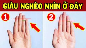Người phú quý hơn người trên bàn tay có 4 điểm này: Kiểm tra ngay xem bạn có không? 1 nguoi phu quy hon nguoi tren ban tay co 4 diem nay kiem tra ngay xem ban co khong 110057