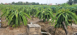 nguoi dan khi su dung thiet bi co su dung dien trong san xuat can dam bao an toan