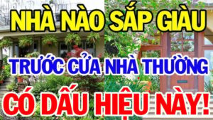 nha co 3 thu nay cang o cang giau co 102926