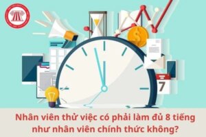 nhan vien thu viec lam du 8 tieng
