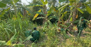 nhung chiec thung an khuat duoi goc cay he lo duong day buon lau qua bien gioi 991