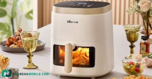 noi chien khong dau bear