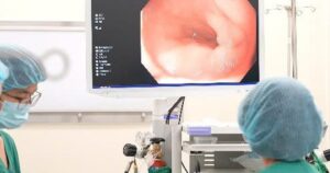 Noi Soi 1768209323308719916790 51 0 361 496 Crop 1768209385741711974459